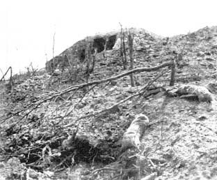 Umacnienie linii w górskim rejonie Metaxu trwało od 1936 r. Walki obronne trwały ok. 10 dni. Kapitulacja wojsk jugosłowiańskich uniemożliwiła dalszą obronę.