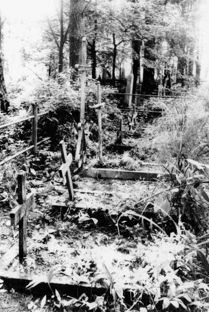 Cmentarz poległych w walce z Niemcami partyzantów Ziemi Nowogrodzkiej w Wawiórce k.Wasiliszek. Mogiła „Ponurego” pośrodku z wysokim krzyżem.