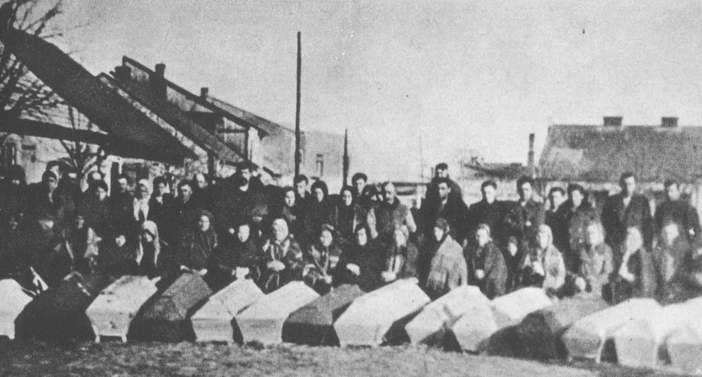 Ekshumacja zwłok robotników leśnych pomordowanych we wsi Piotrowe Pole we wrześniu 1944 r. (Sienno 1944 r.).